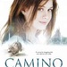 Camino poster